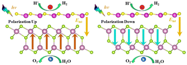 Graphical abstract: Ferroelectric polarization promotes a CdS/In2Se3 heterostructure for photocatalytic water splitting