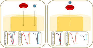 Graphical abstract: Multivariate analysis of nanoparticle translocation through a nanopore to improve the accuracy of resistive pulse sensing