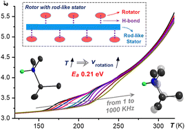 Graphical abstract: Molecular rotators anchored on a rod-like anionic coordination polymer adhered by charge-assisted hydrogen bonds