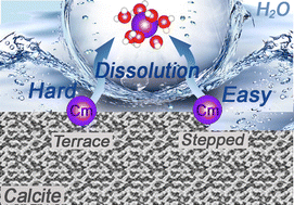 Graphical abstract: Dynamic dissolution of Cm3+ ions incorporated at the calcite–water interface: an ab initio molecular dynamics simulation study