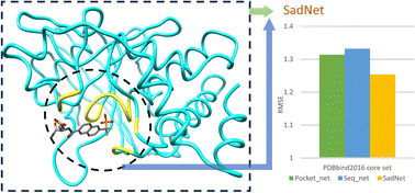 Graphical abstract: SadNet: a novel multimodal fusion network for protein–ligand binding affinity prediction