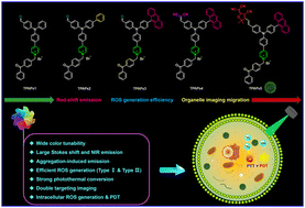 Graphical abstract: Precise molecular engineering for the preparation of pyridinium photosensitizers with efficient ROS generation and photothermal conversion