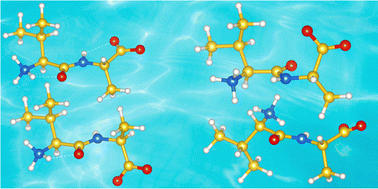 Graphical abstract: Conformational preference of dipeptide zwitterions in aqueous solvents