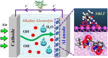 Graphical abstract: Self-assembly of an amino acid derivative as an anode interface layer for advanced alkaline Al–air batteries