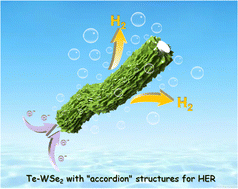 Graphical abstract: Te-doped-WSe2/W as a stable monolith catalyst for ampere-level current density hydrogen evolution reaction