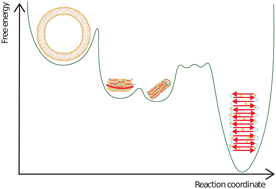 Graphical abstract: Structural characterisation of α-synuclein–membrane interactions and the resulting aggregation using small angle scattering