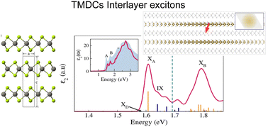 Graphical abstract: Optical spectra and exciton radiative lifetimes in bulk transition metal dichalcogenides