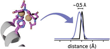 Graphical abstract: Modeling of Cu(ii)-based protein spin labels using rotamer libraries