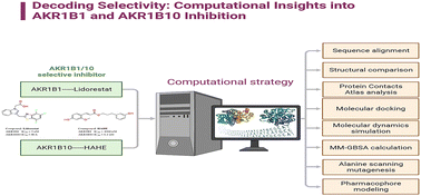 Graphical abstract: Decoding selectivity: computational insights into AKR1B1 and AKR1B10 inhibition