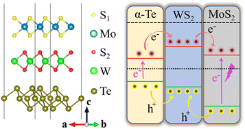 Graphical abstract: Tunability of electronic properties in the 2D MoS2/α-tellurene/WS2 heterotrilayer via biaxial strain and electric field