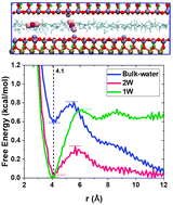 Graphical abstract: Confinement-induced clustering of H2 and CO2 gas molecules in hydrated nanopores