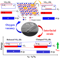 Graphical abstract: Effects of oxygen vacancies and interfacial strain on the metal–insulator transition of VO2 nanobeams