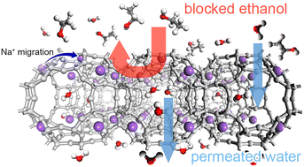 Graphical abstract: Computational understanding of Na-LTA for ethanol–water separation