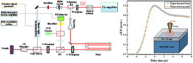 Graphical abstract: Nonequilibrium electron–phonon coupling across the interfaces between Al nanofilm and GaN