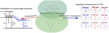 Graphical abstract: Study of two-photon absorption and excited-state dynamics of coumarin derivatives: the effect of monomeric and dimeric structures