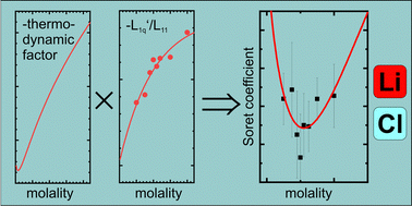 Graphical abstract: Non-monotonic Soret coefficients of aqueous LiCl solutions with varying concentrations