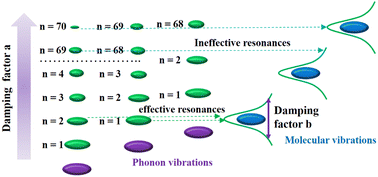 Graphical abstract: Probing into the theory of impact sensitivity: propelling the understanding of phonon–vibron coupling coefficients