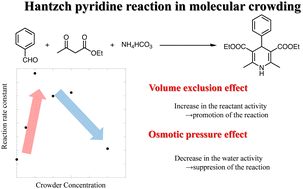 Graphical abstract: Molecular crowding effect in Hantzch pyridine synthesis in polyethylene glycol aqueous solution