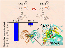 Graphical abstract: Dissecting the chiral recognition of TLR4/MD2 with Neoseptin-3 enantiomers by molecular dynamics simulations