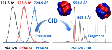 Graphical abstract: Cyclic ion mobility of doped [MAu24L18]2− superatoms and their fragments (M = Ni, Pd and Pt; L = alkynyl)