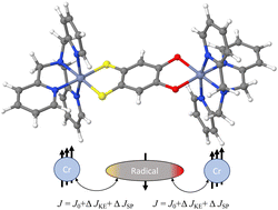 Graphical abstract: What governs magnetic exchange couplings in radical-bridged dinuclear complexes?