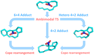 Graphical abstract: Substituent effects on the selectivity of ambimodal [6+4]/[4+2] cycloaddition
