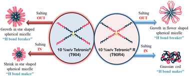 Graphical abstract: Additive-anchored thermoresponsive nanoscale self-assembly generation in normal and reverse Tetronics®