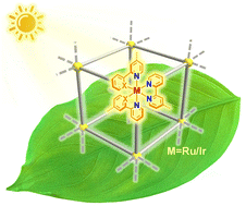 Graphical abstract: Polypyridyl Ru(ii) or cyclometalated Ir(iii) functionalized architectures for photocatalysis