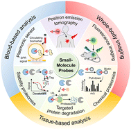 Graphical abstract: Small-molecule probes from bench to bedside: advancing molecular analysis of drug–target interactions toward precision medicine