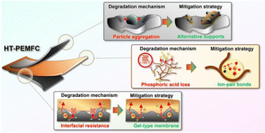 Graphical abstract: Performance degradation and mitigation of high temperature polybenzimidazole-based polymer electrolyte membrane fuel cells