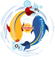 Graphical abstract: Tandem cells for unbiased photoelectrochemical water splitting