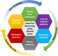 Graphical abstract: Label-free optical biosensing: going beyond the limits