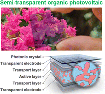 Graphical abstract: Semi-transparent organic photovoltaics