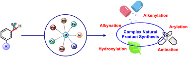 Graphical abstract: Transition-metal catalyzed C–H activation as a means of synthesizing complex natural products