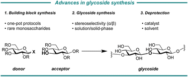 Graphical abstract: Advances in glycoside and oligosaccharide synthesis