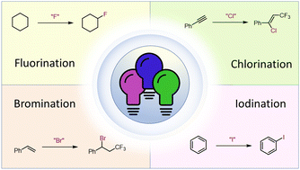 Graphical abstract: Visible light-mediated halogenation of organic compounds