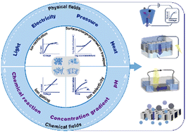 Graphical abstract: Ion transport in nanofluidics under external fields