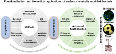Graphical abstract: Surface-modified bacteria: synthesis, functionalization and biomedical applications
