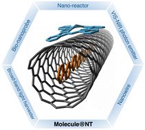 Graphical abstract: Advanced 1D heterostructures based on nanotube templates and molecules