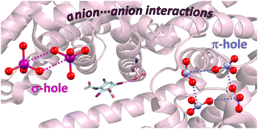 Graphical abstract: Anion⋯anion self-assembly under the control of σ- and π-hole bonds