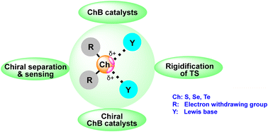 Graphical abstract: Chalcogen bonding catalysis