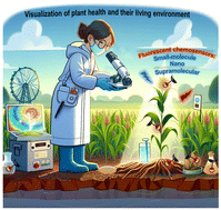 Graphical abstract: Fluorescent chemosensors facilitate the visualization of plant health and their living environment in sustainable agriculture
