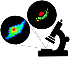Graphical abstract: Towards multimodal cellular imaging: optical and X-ray fluorescence