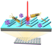 Graphical abstract: Unveiling practical considerations for reliable and standardized SERS measurements: lessons from a comprehensive review of oblique angle deposition-fabricated silver nanorod array substrates