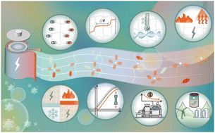 Graphical abstract: Gel polymer electrolytes for rechargeable batteries toward wide-temperature applications