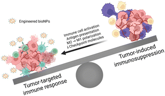 Graphical abstract: Engineered biological nanoparticles as nanotherapeutics for tumor immunomodulation