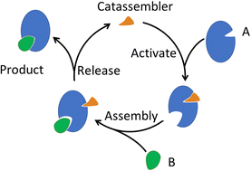 Graphical abstract: What can molecular assembly learn from catalysed assembly in living organisms?