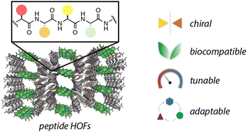 Graphical abstract: Peptide hydrogen-bonded organic frameworks