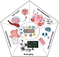 Graphical abstract: Microbe-material hybrids for therapeutic applications