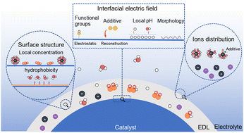 Graphical abstract: Local reaction environment in electrocatalysis